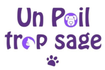Un poil trop sage