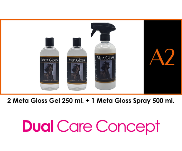 META GLOSS PACKAGE DEAL  -  A2