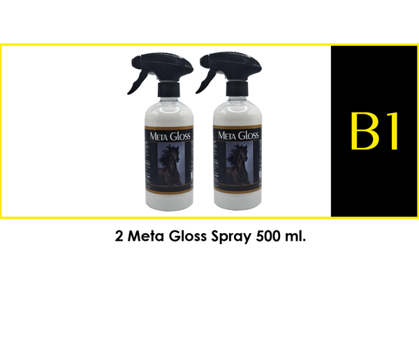 META GLOSS PACKAGE DEAL  -  B1