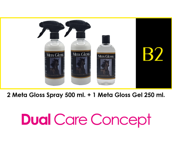META GLOSS PACKAGE DEAL  -  B2