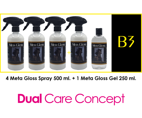 META GLOSS PACKAGE DEAL - B3