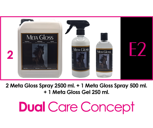 META GLOSS PACKAGE DEAL  -  E2