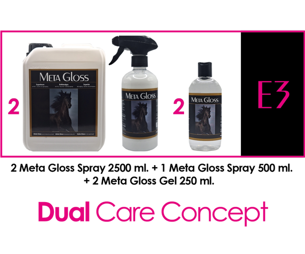 META GLOSS PACKAGE DEAL  -  E3