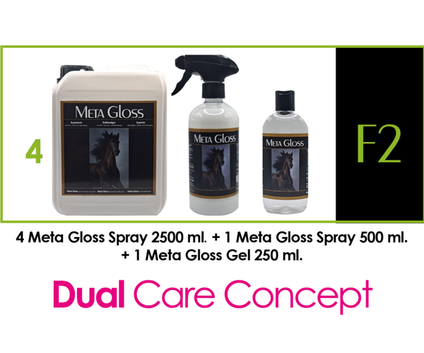 META GLOSS PACKAGE DEAL  -  F2