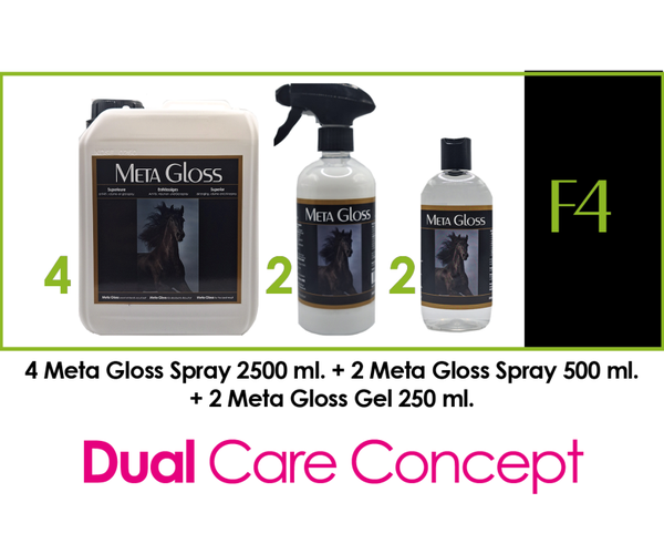META GLOSS PACKAGE DEAL  -  F4