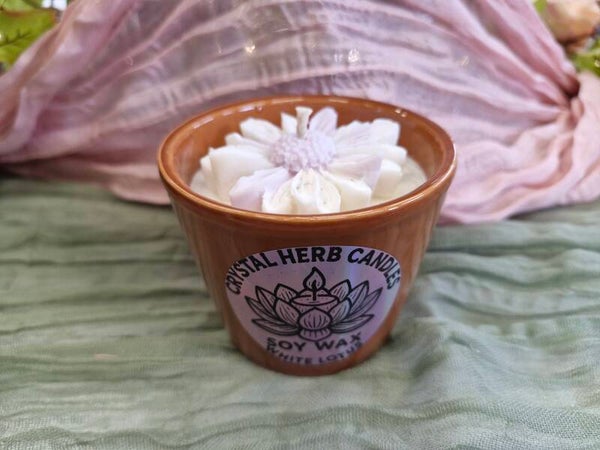 Flowers pot