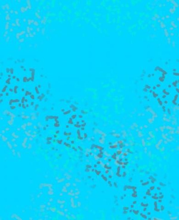 DV.50 Design Hellblau, Blautöne gemuschelt