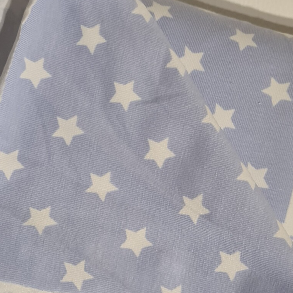 Baumwolljersey Hellblau Sternchen