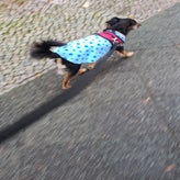 img-20211014-wa0014.jpeg