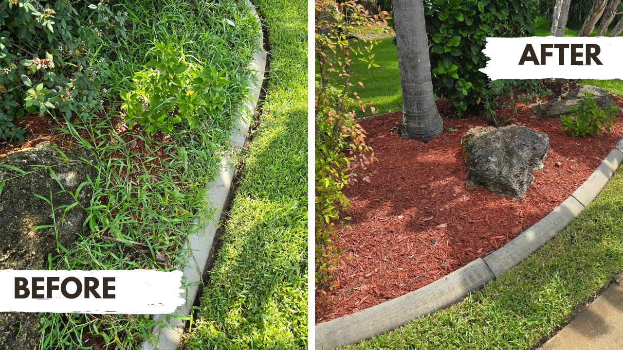 white-black-modern-photo-collage-before-after-youtube-thumbnail_20250829_142838_0000-standard.png