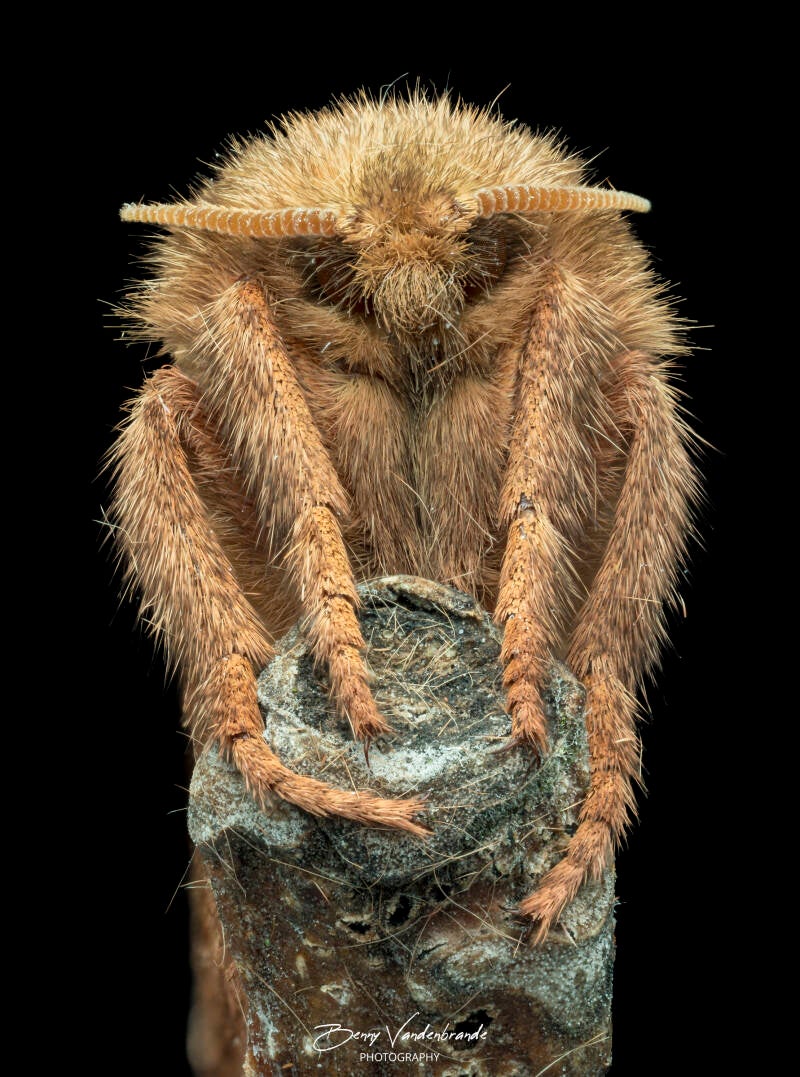 2026-08-21-19-59-48-c-s1-standard.jpg