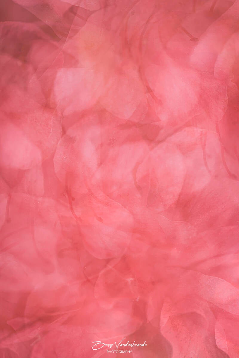 _dsc7795-standard.jpg