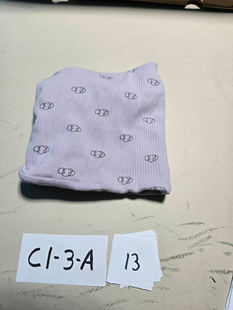 C1-3-A 13 Hivers cc