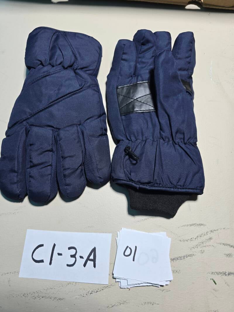 C1-3A 1 Hivers G