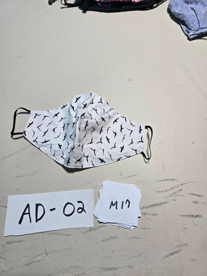 AD2 17 ADMAS