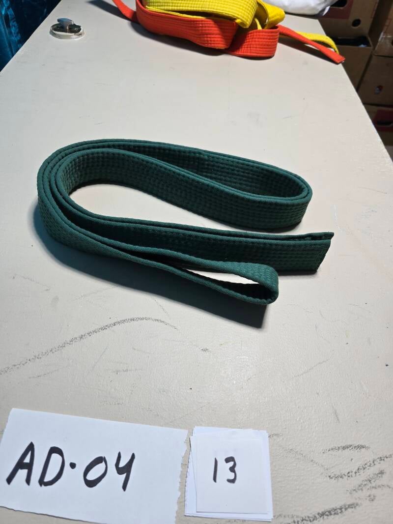 AD04-13 ARDS