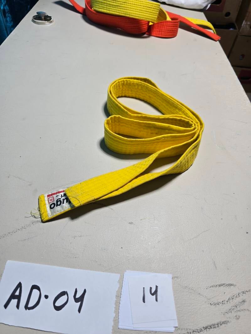 AD04-14 ARDS