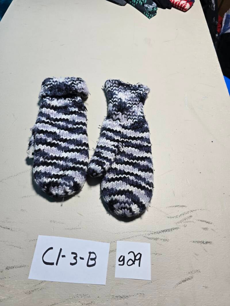 C1-3B 29 Hivers G