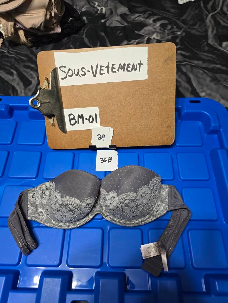 BM1- 29 SV36B