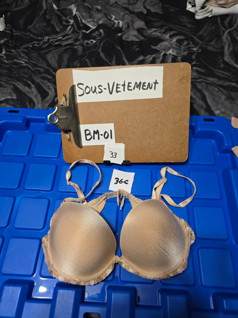 BM1- 33 SV36C