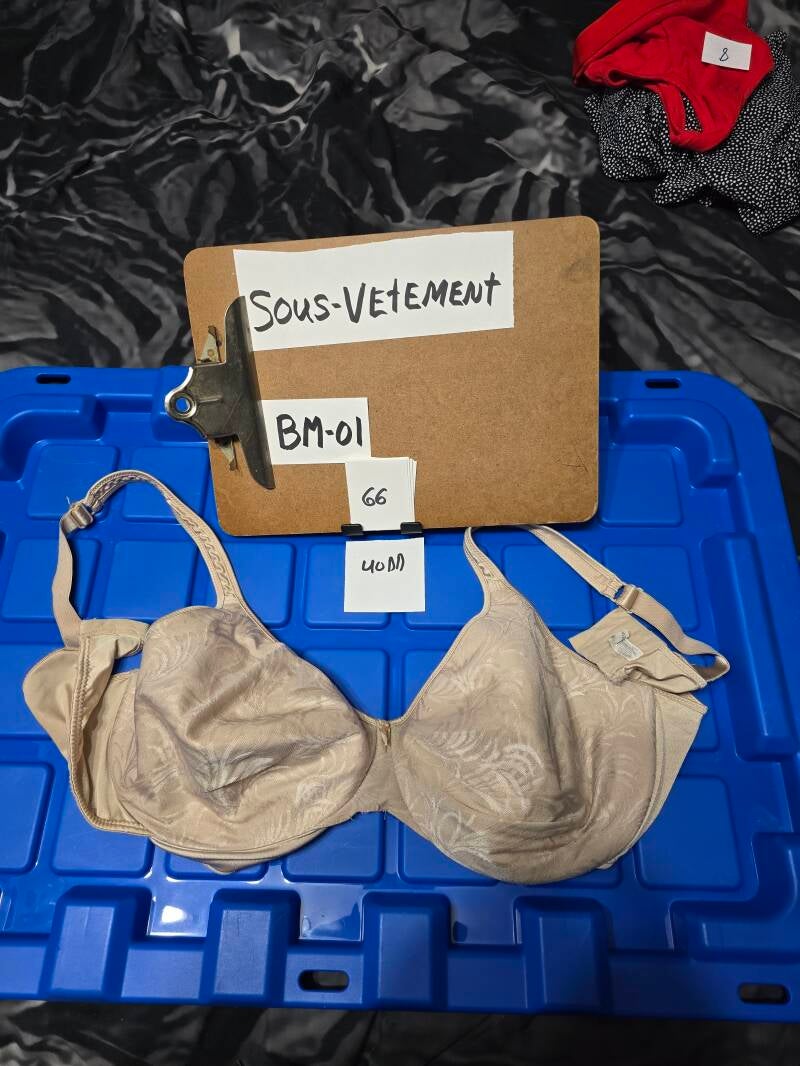 BM1 66 SV40D