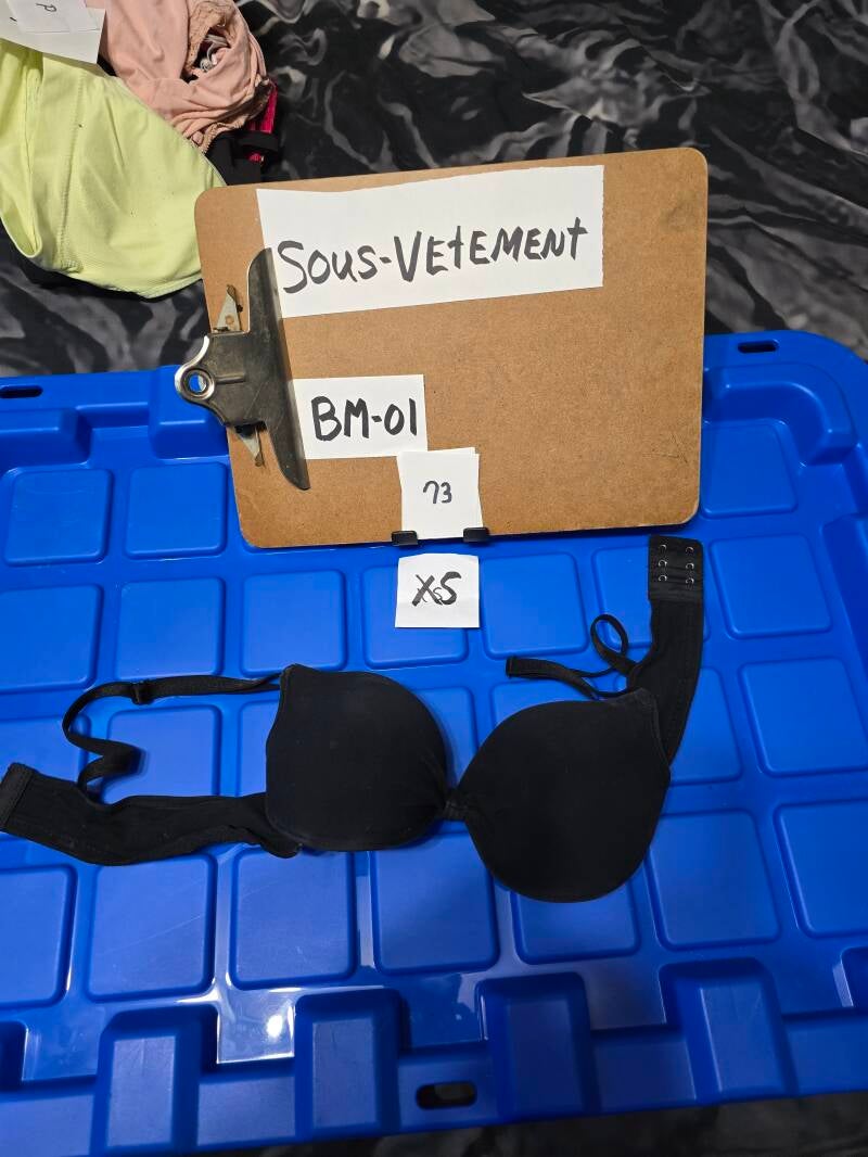 BM1 73 SVXS