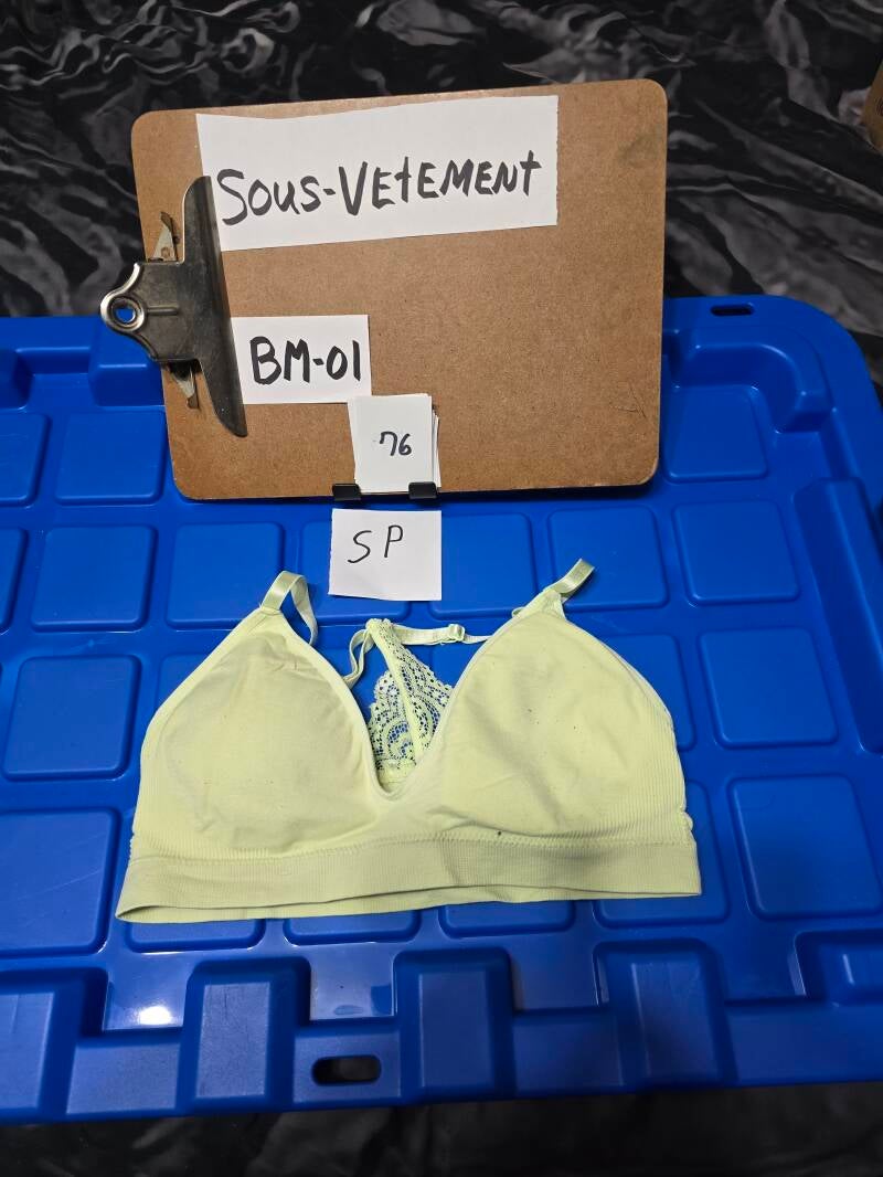 BM1 76 SVS