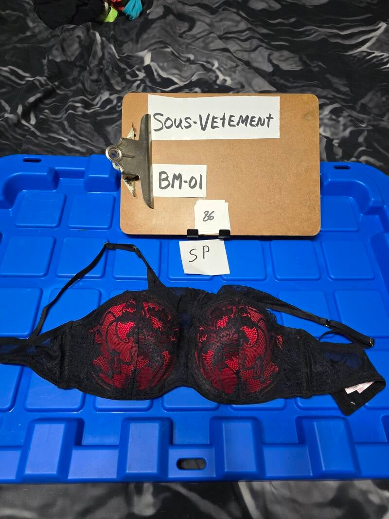 BM1 86 SVS