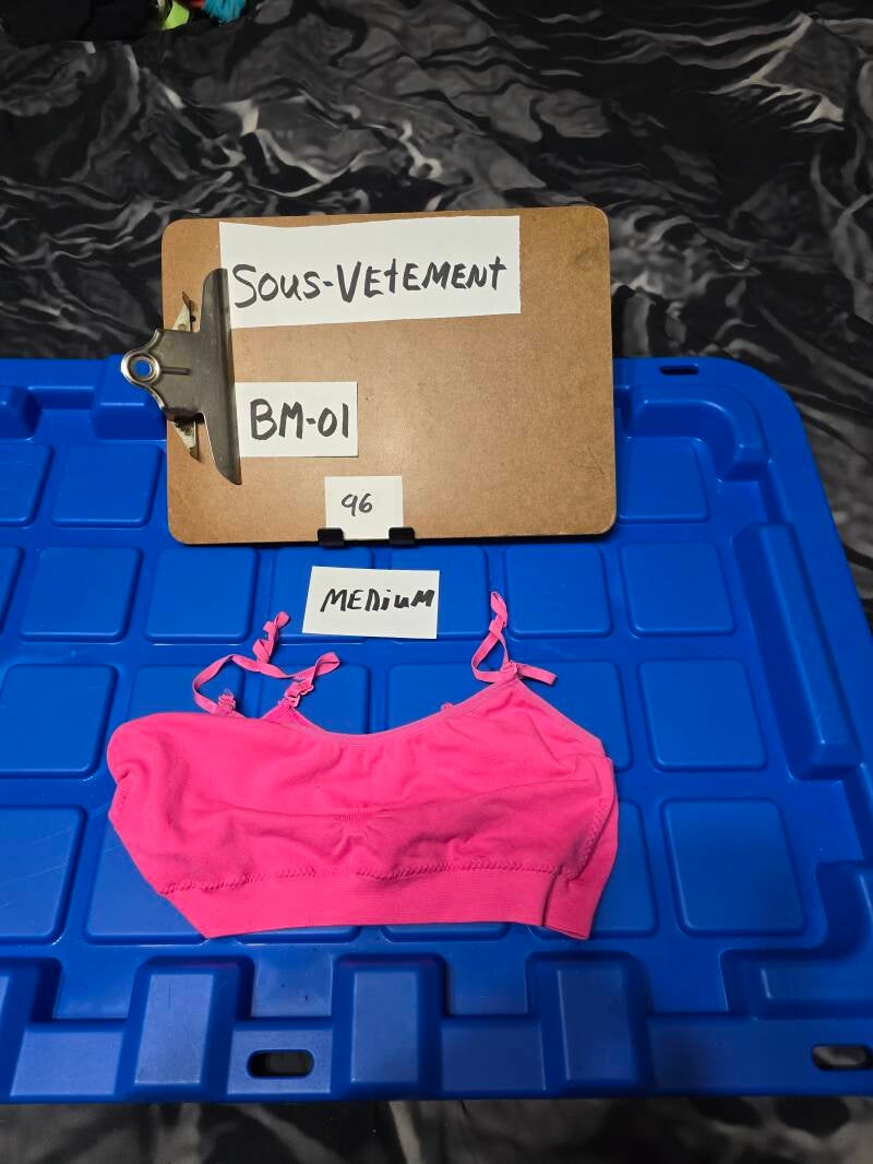 BM1 96 SVM