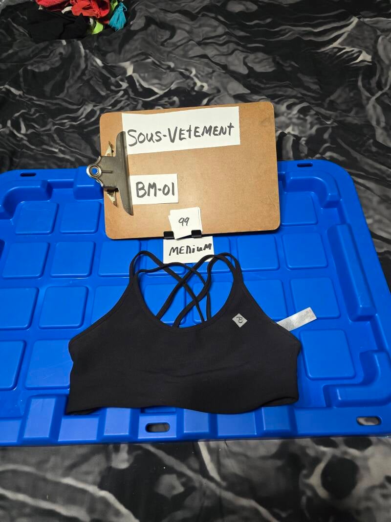 BM1 99 SVM