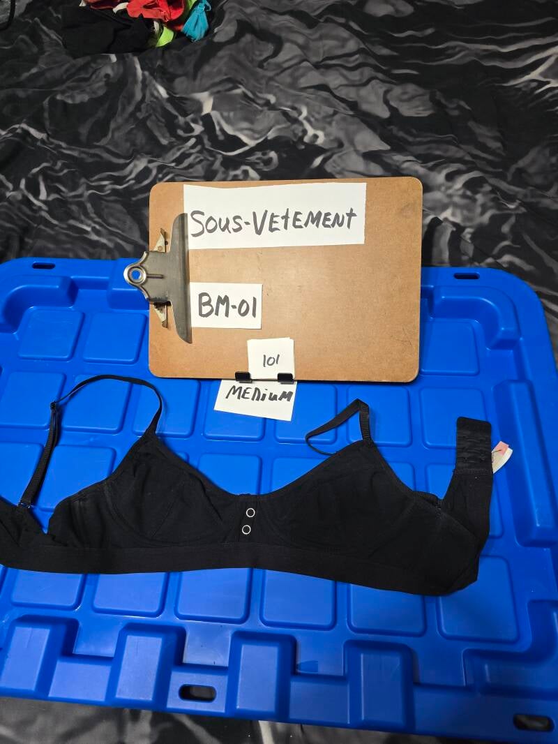 BM1 101 SVM