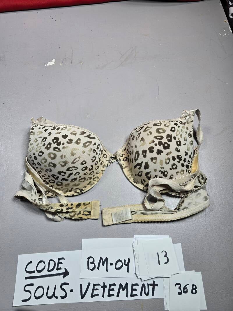 BM4- 13 SV36B
