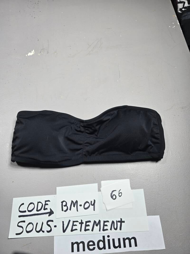 BM4 66 SVM