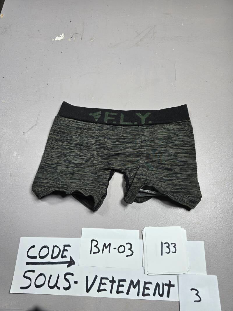BM3 133 SVC 3