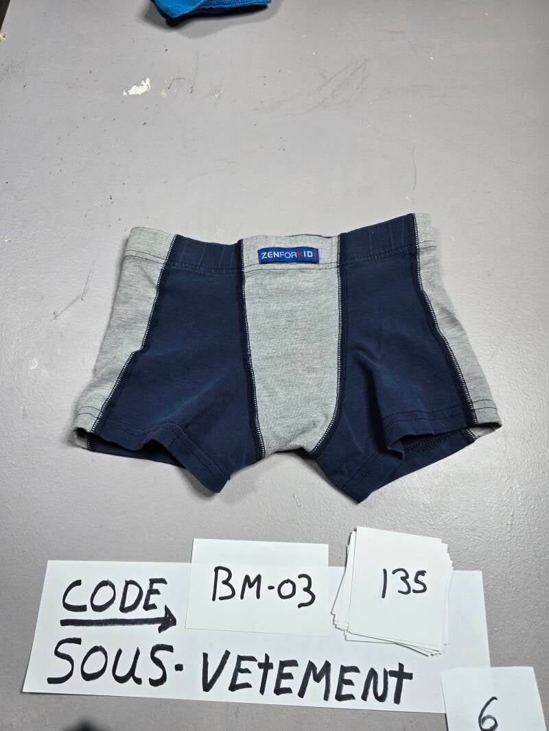 BM3 135 SVC 6