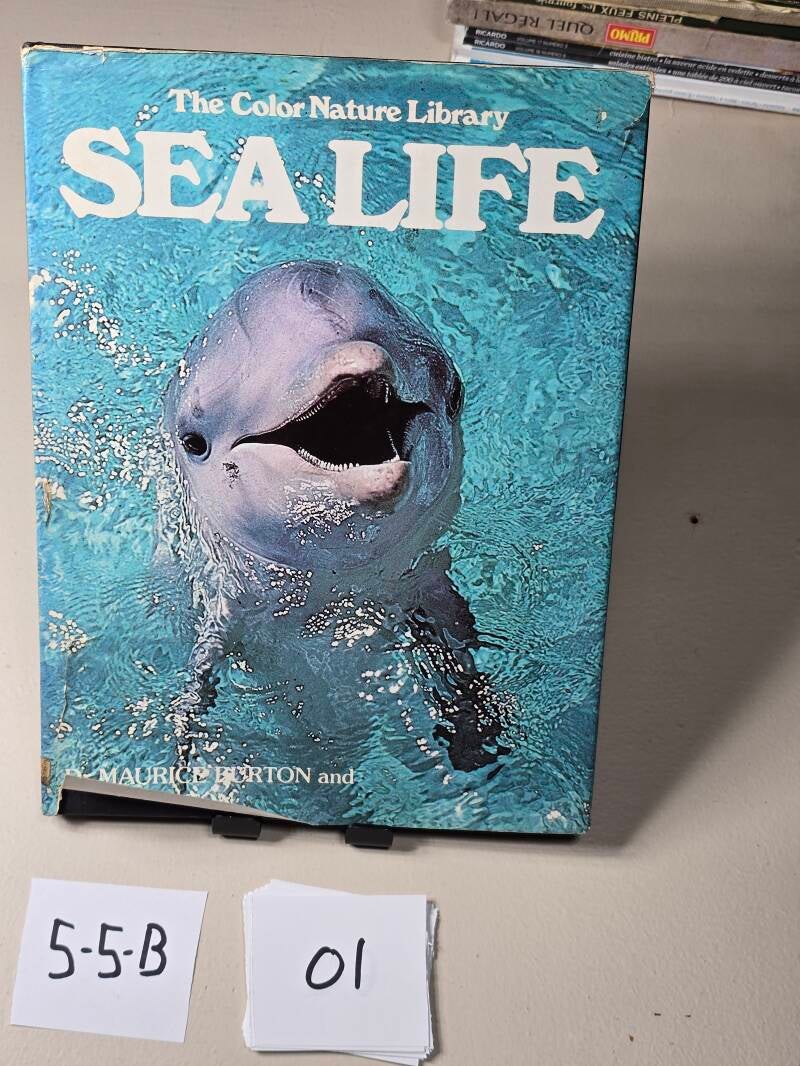 5-5-B 1 Livre A