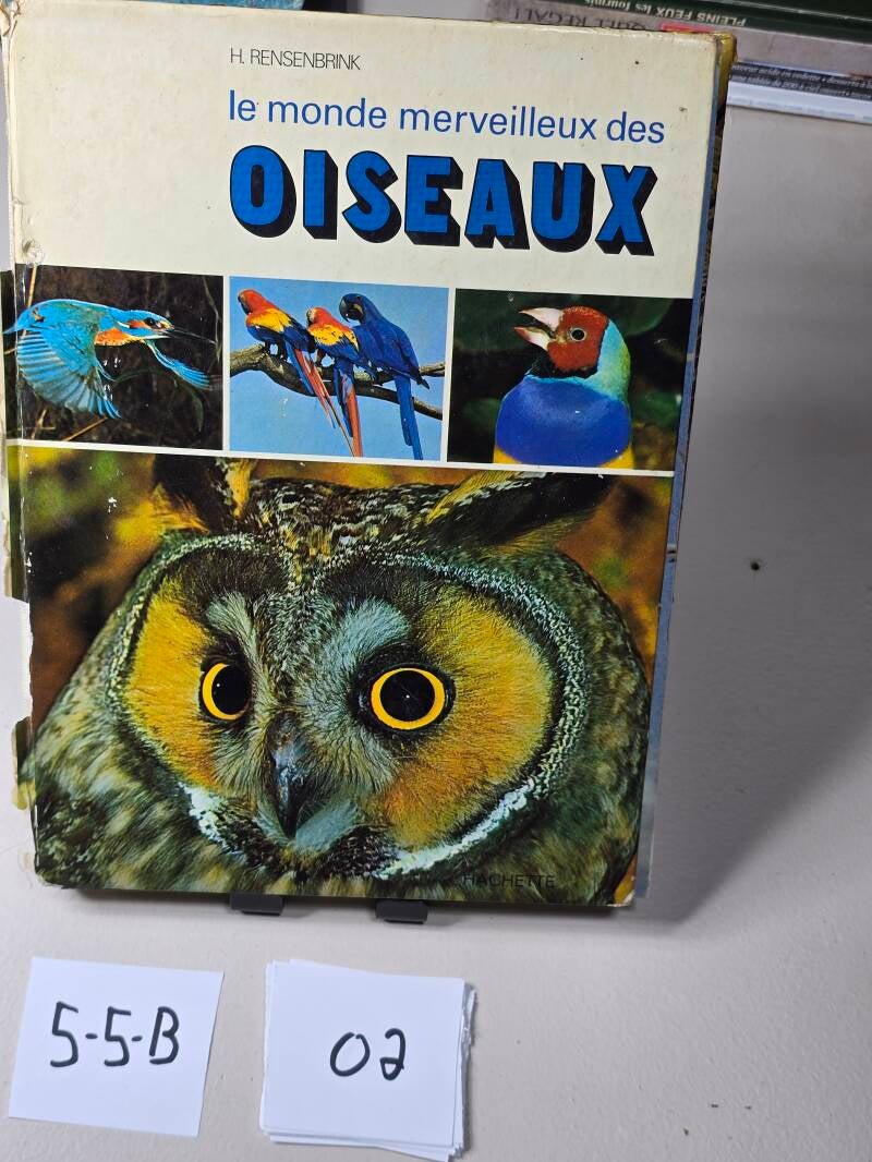 5-5-B 2 Livre A