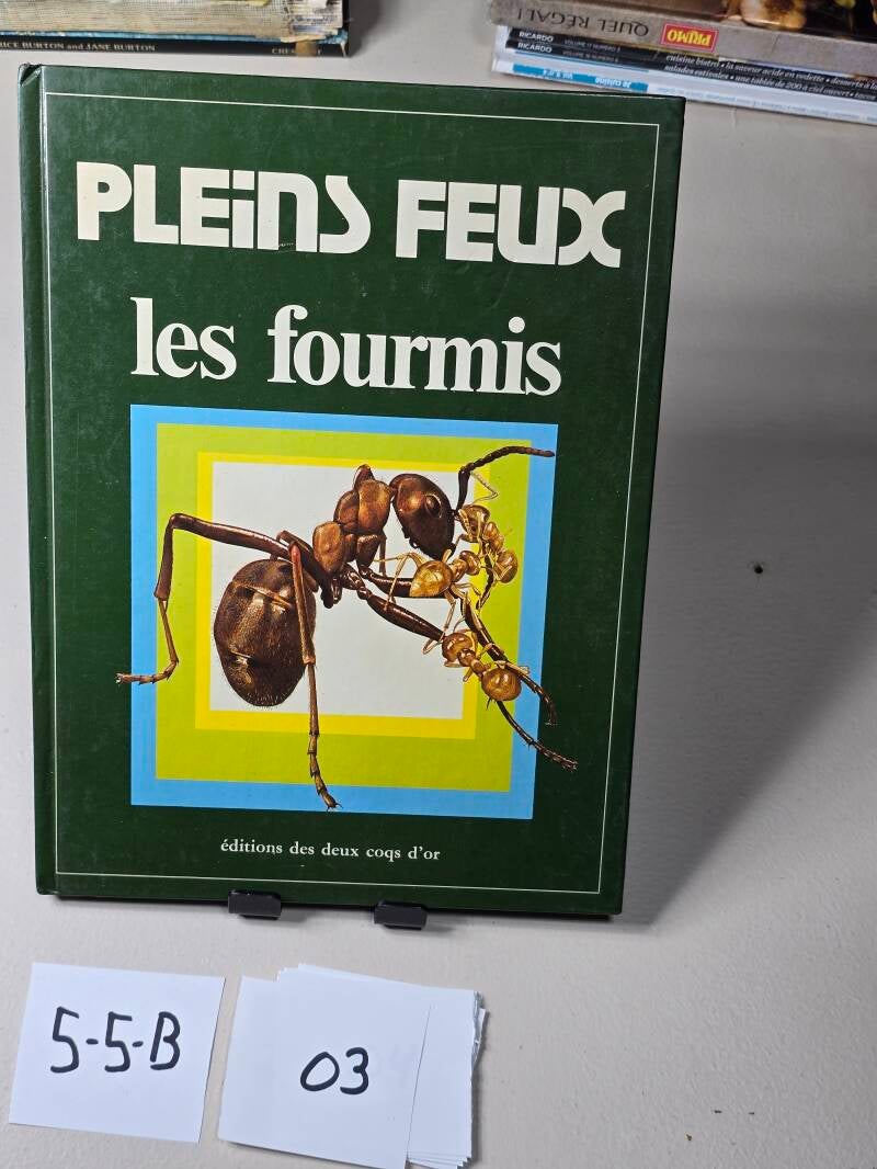 5-5-B 3 Livre A