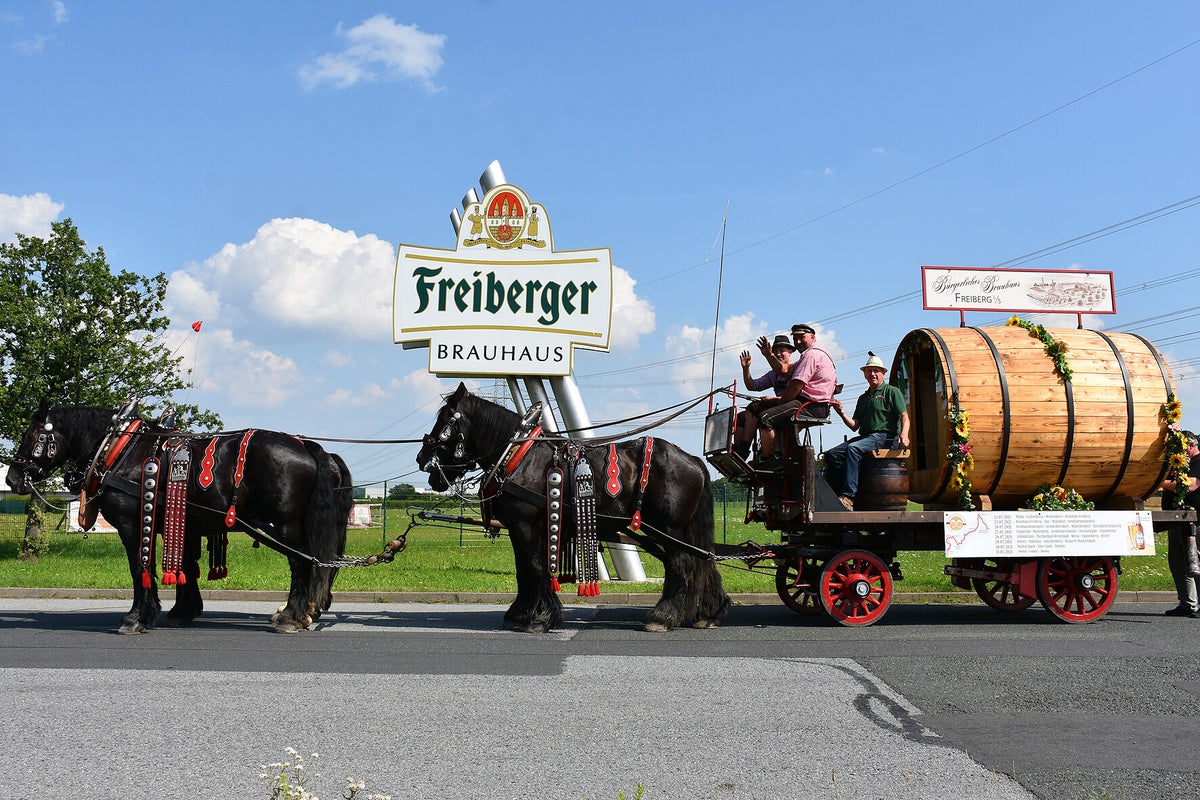 Freiberger Bierwagenroute | Pferdehof Reichel Kaltblutzucht