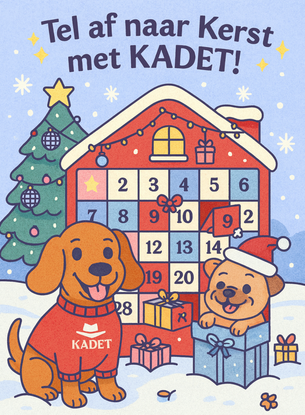 ✨ KADET Adventskalender – 24 Days of Cosy Magic ✨