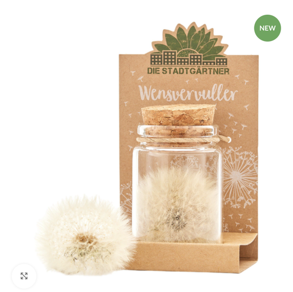 ✨ Wensvervuller in glazen pot – Eeuwig houdbare paardenbloem ✨