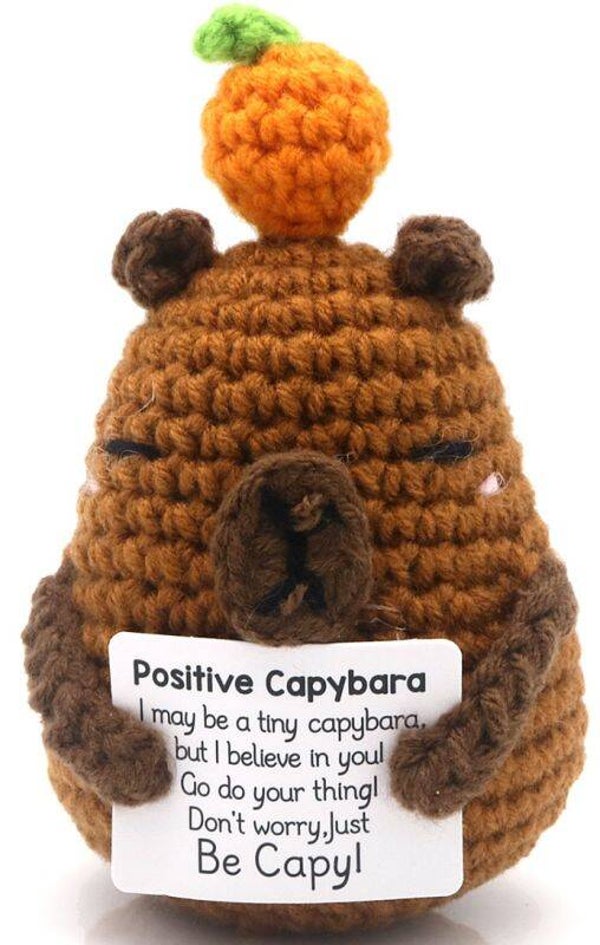 🧡 Positive Capybara – Be Capy Edition
