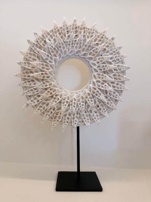 Witte schelpen op standaard