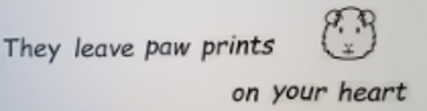 sticker met tekst en afbeelding