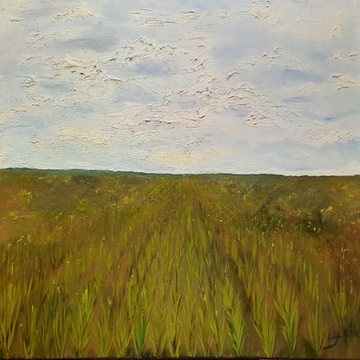 Veld met aloe vera