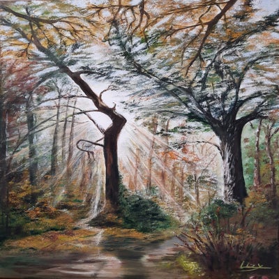 In het Sparrenburgbos