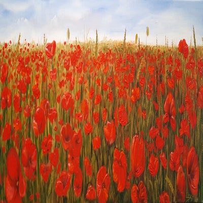 Veld met klaprozen