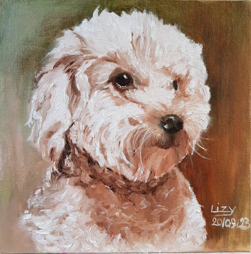 Boomer: olieverf op paneel 20/20