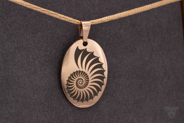 NAUTILUS