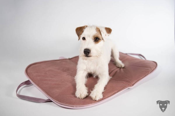 DOG BED TO GO PUDER